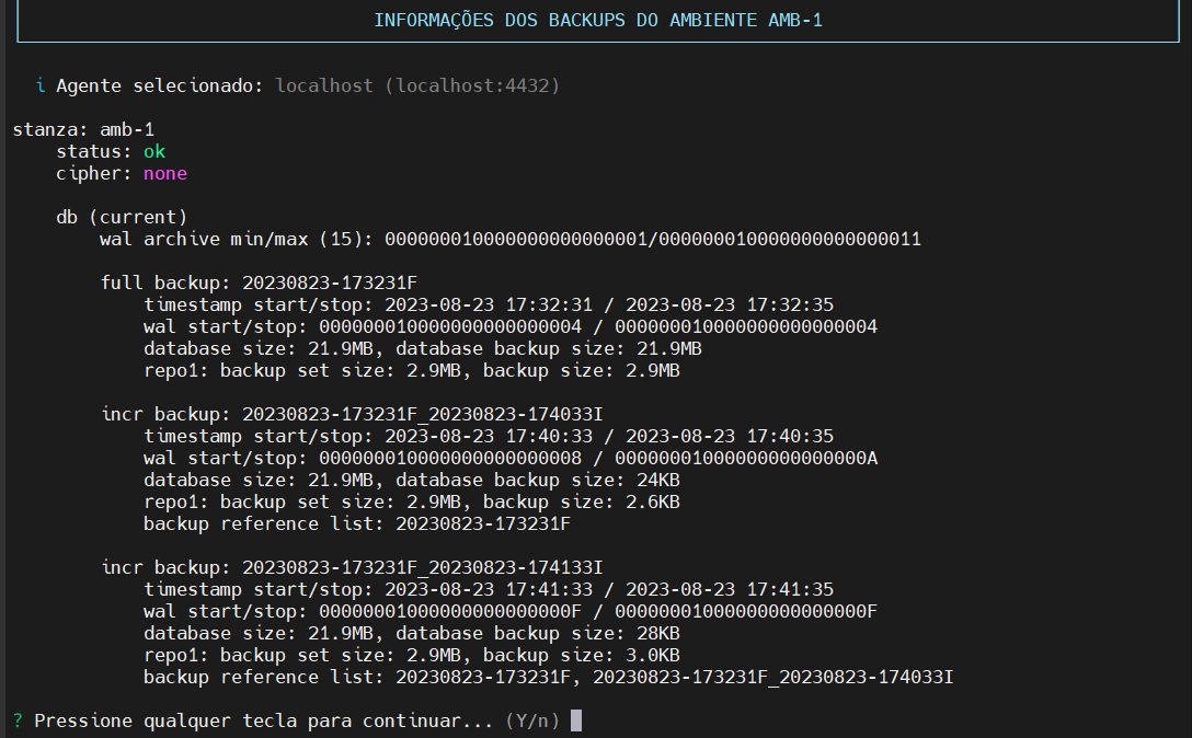 detalhes do _backup_