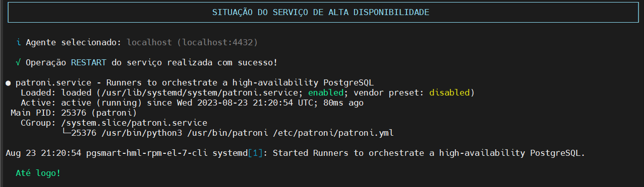 iniciar serviço agente