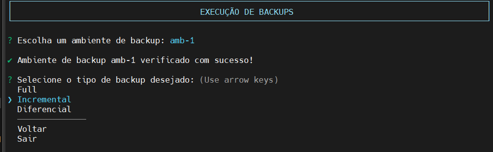 Seleciona tipo de backup