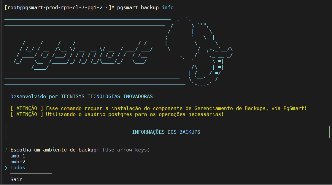 Seleciona ambiente de backup