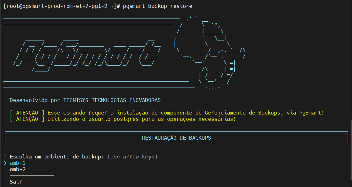 Seleciona ambiente de backup