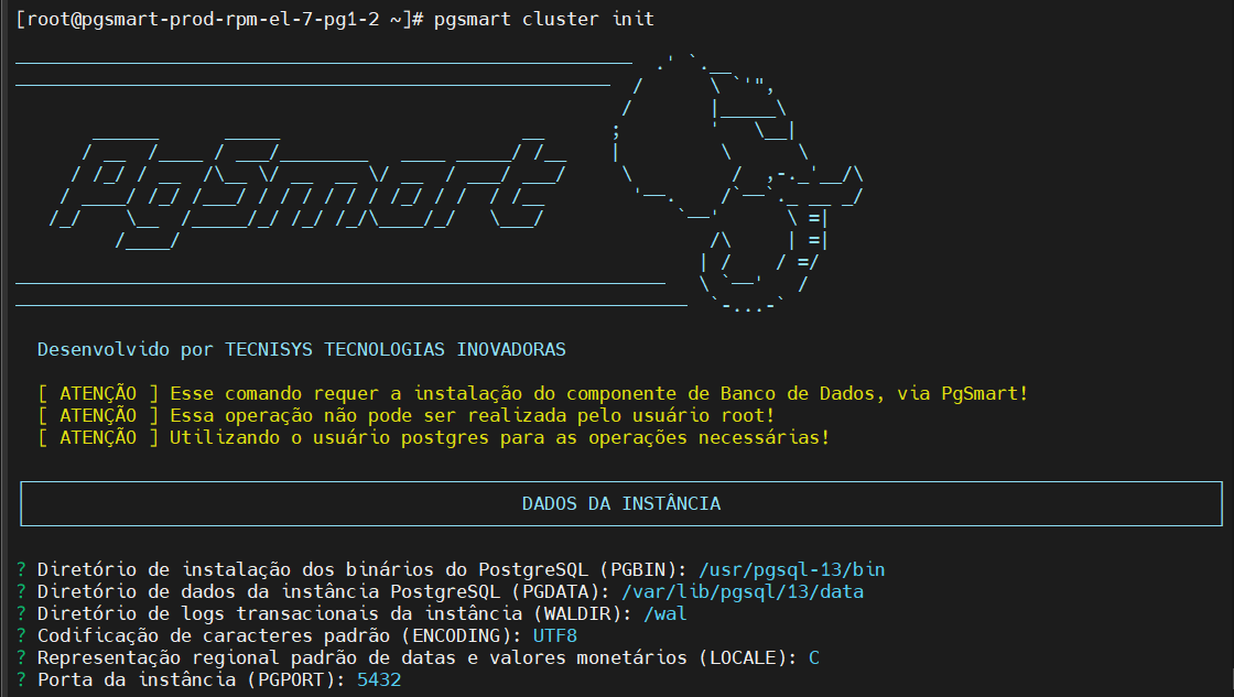 Inicialização cluster - dados da instância