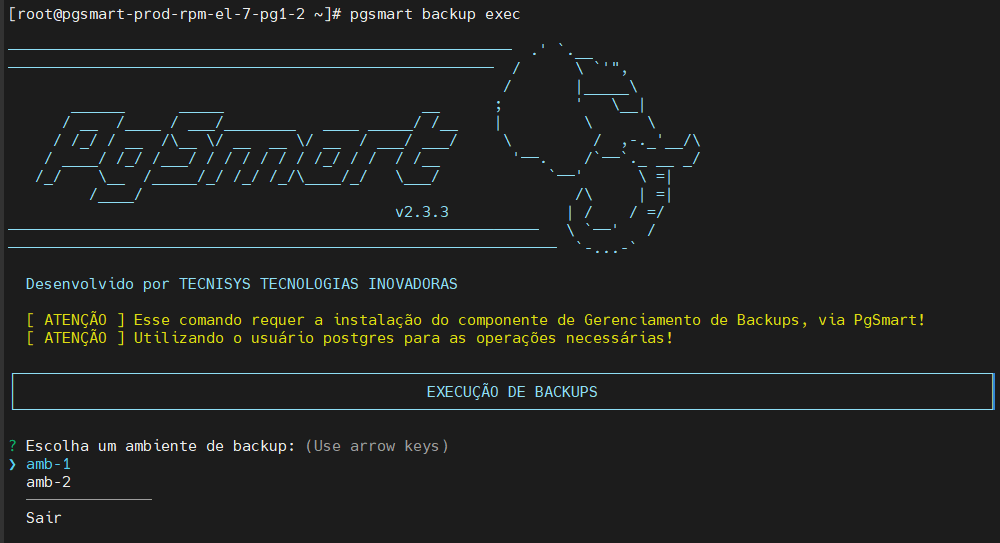 Seleciona ambiente de backup