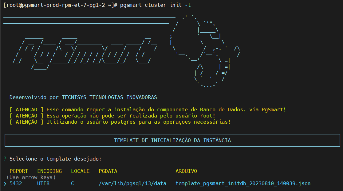 Inicialização cluster - seleção do template