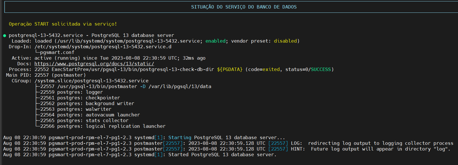 Inicialização cluster - resultado