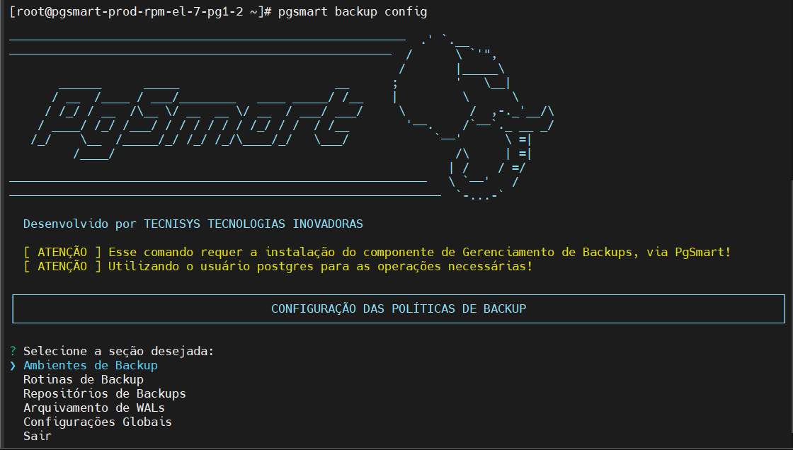 Seleciona seção Ambiente de Backup