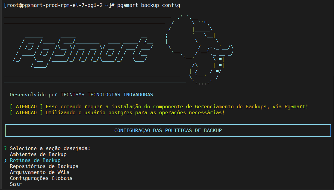 Seleciona seção rotina backup