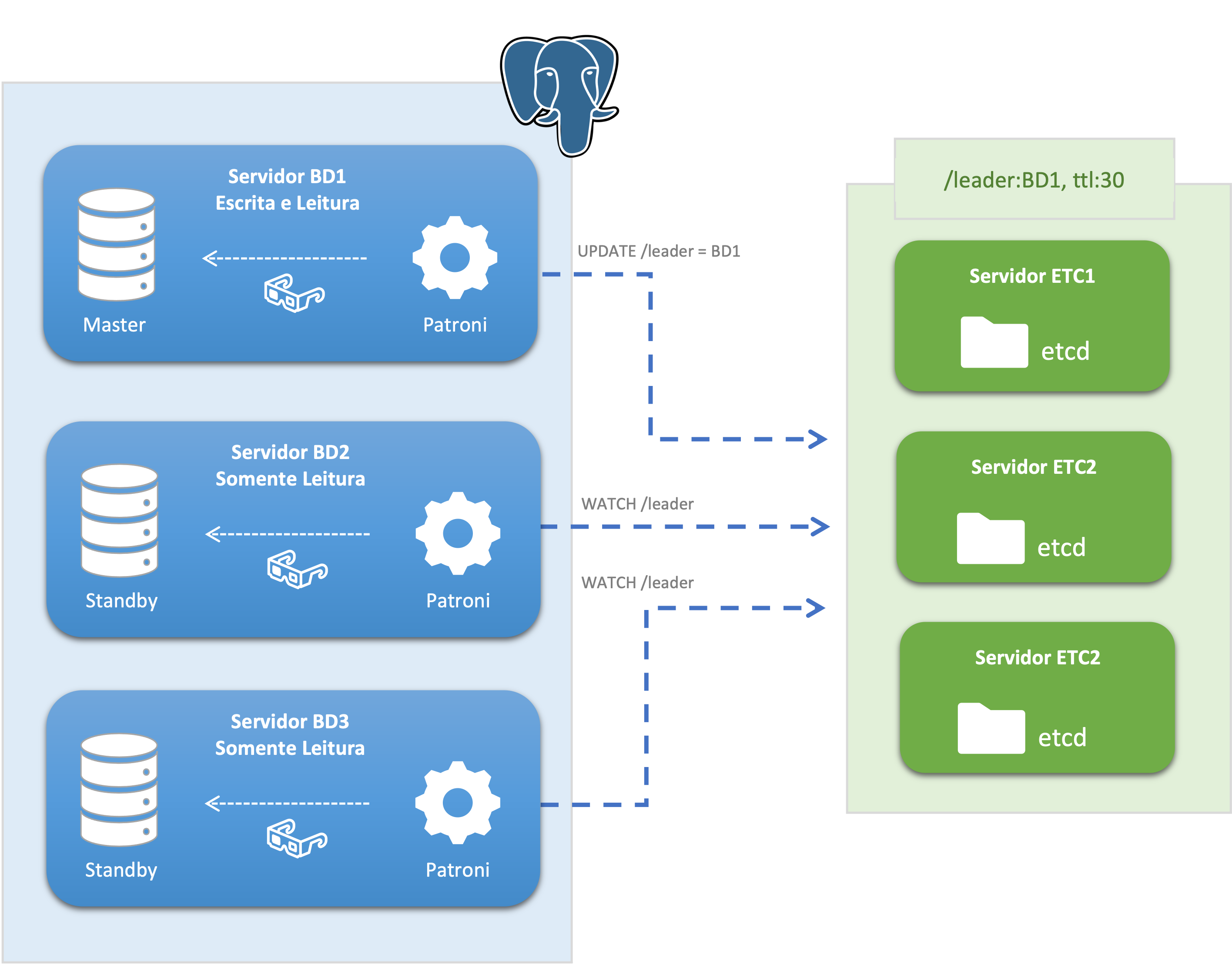 Cluster etcd