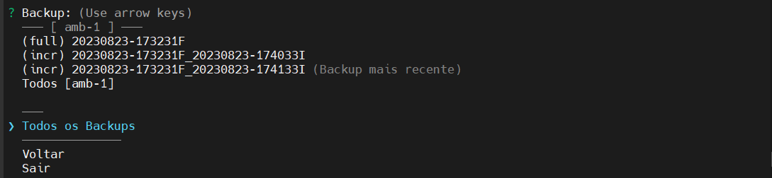seleciona o backup
