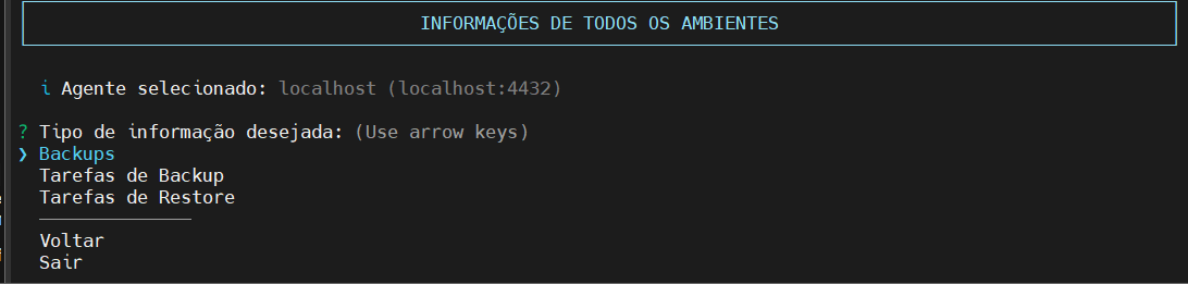 seleciona ambiente de backup tipo de informação desejada