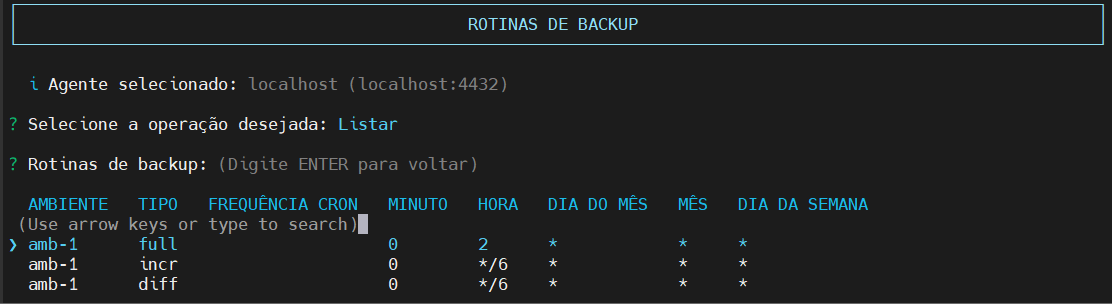 lista rotinas configuradas