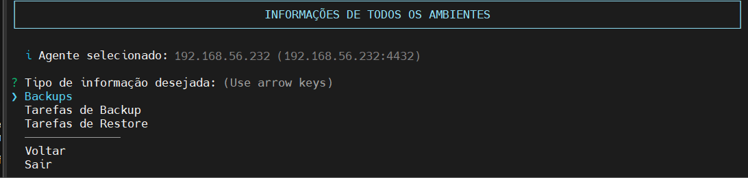 seleciona ambiente de backup tipo de informação desejada