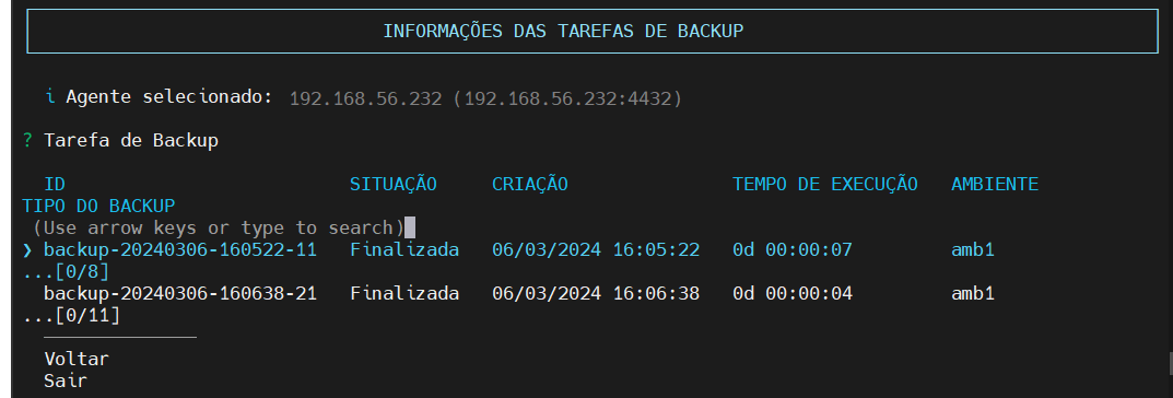 seleciona tarefa _backup_ desejada