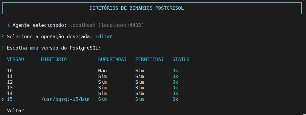 seleciona versão do PostgreSQL para editar Diretório Binários