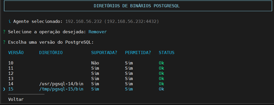 seleciona diretorio binários para remover