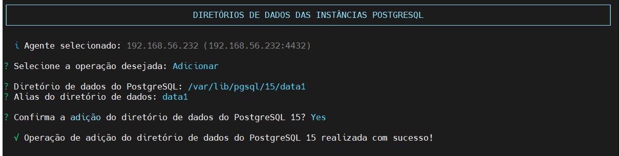 Resultado da adiciona do Diretório de Dados das Instâncias