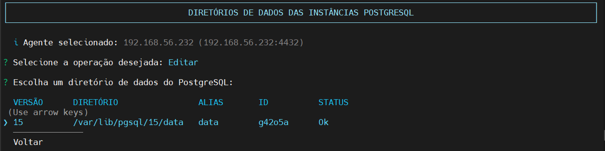 seleciona versão do PostgreSQL para editar Diretórios de Dados das Instâncias