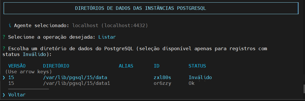 Lista Diretórios de Dados das Instâncias