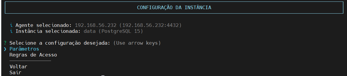 seleciona opção parãmetros