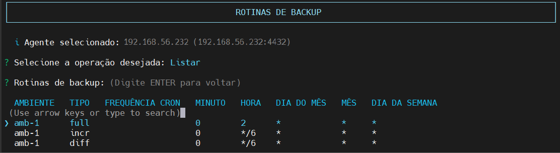 lista rotinas configuradas