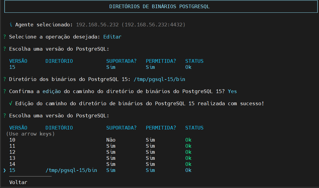 Resultado da edição do Diretório Binários