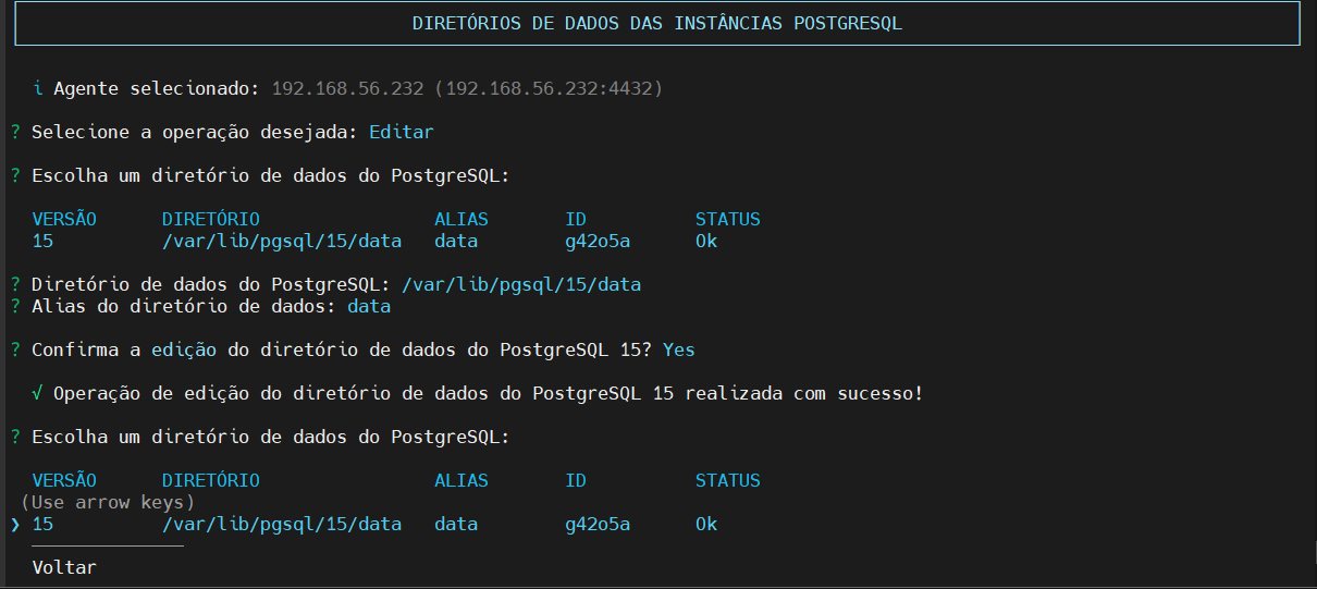 Resultado da edição do Diretório de Dados das Instâncias