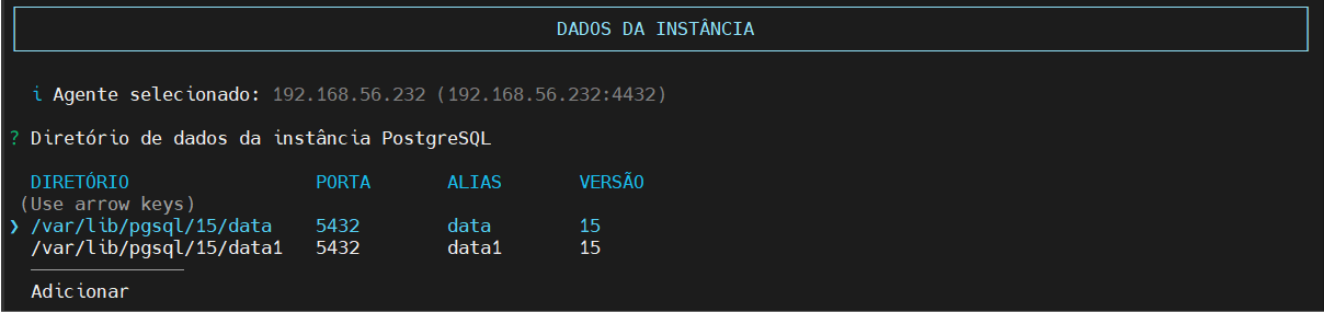 seleciona diretório de dados da instância