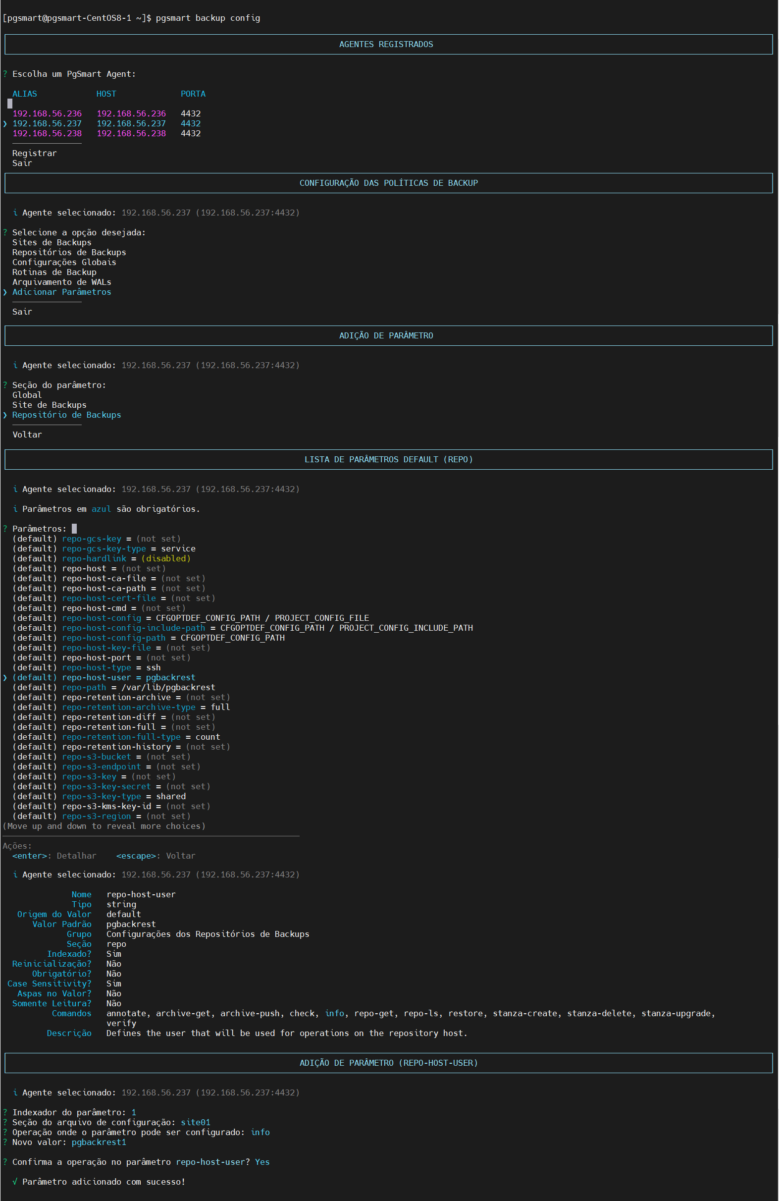 Figure 3 - Backup Repository Parameters Configuration - Addition