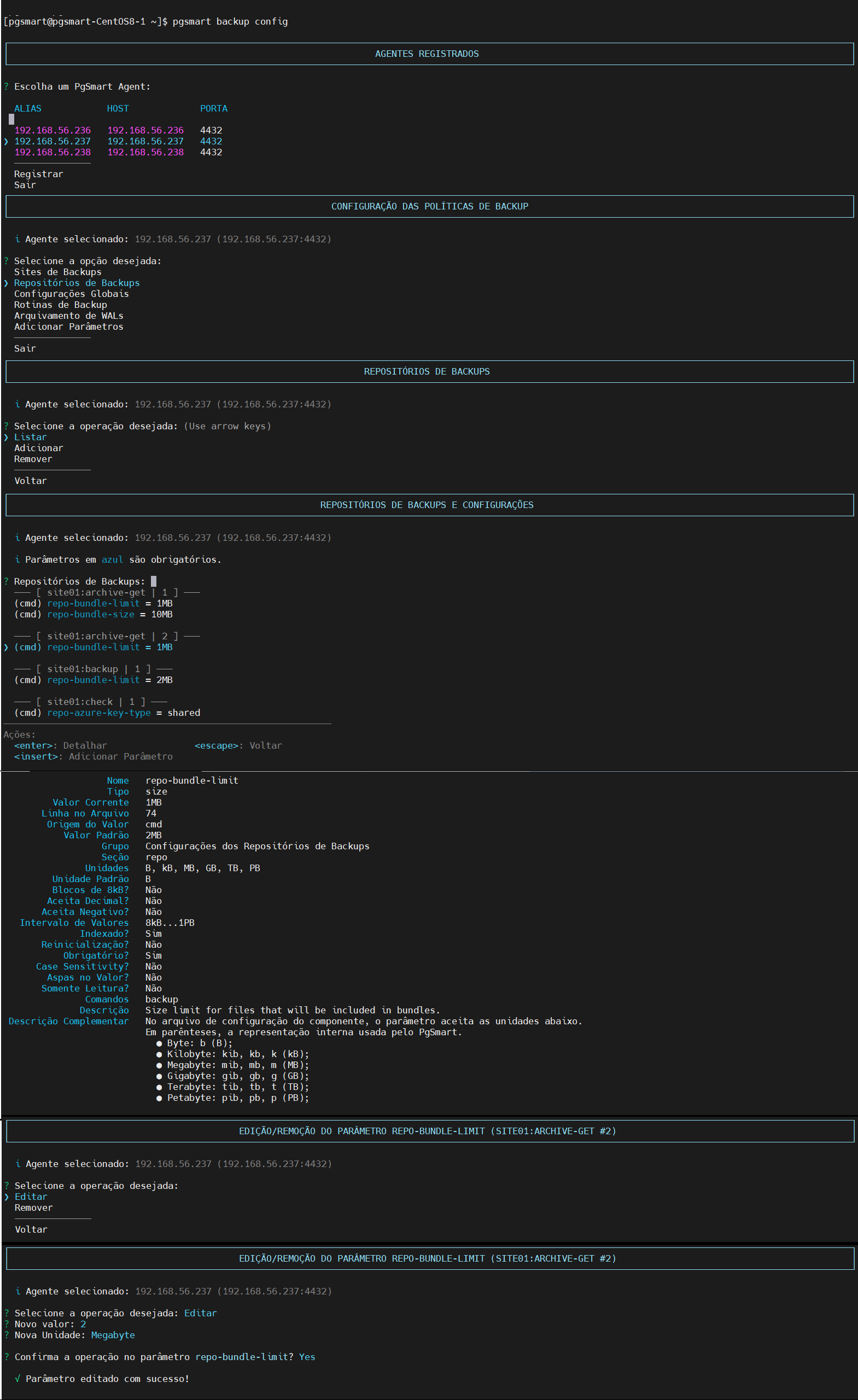 Figure 4 - Backup Repository Parameters Configuration - Edit