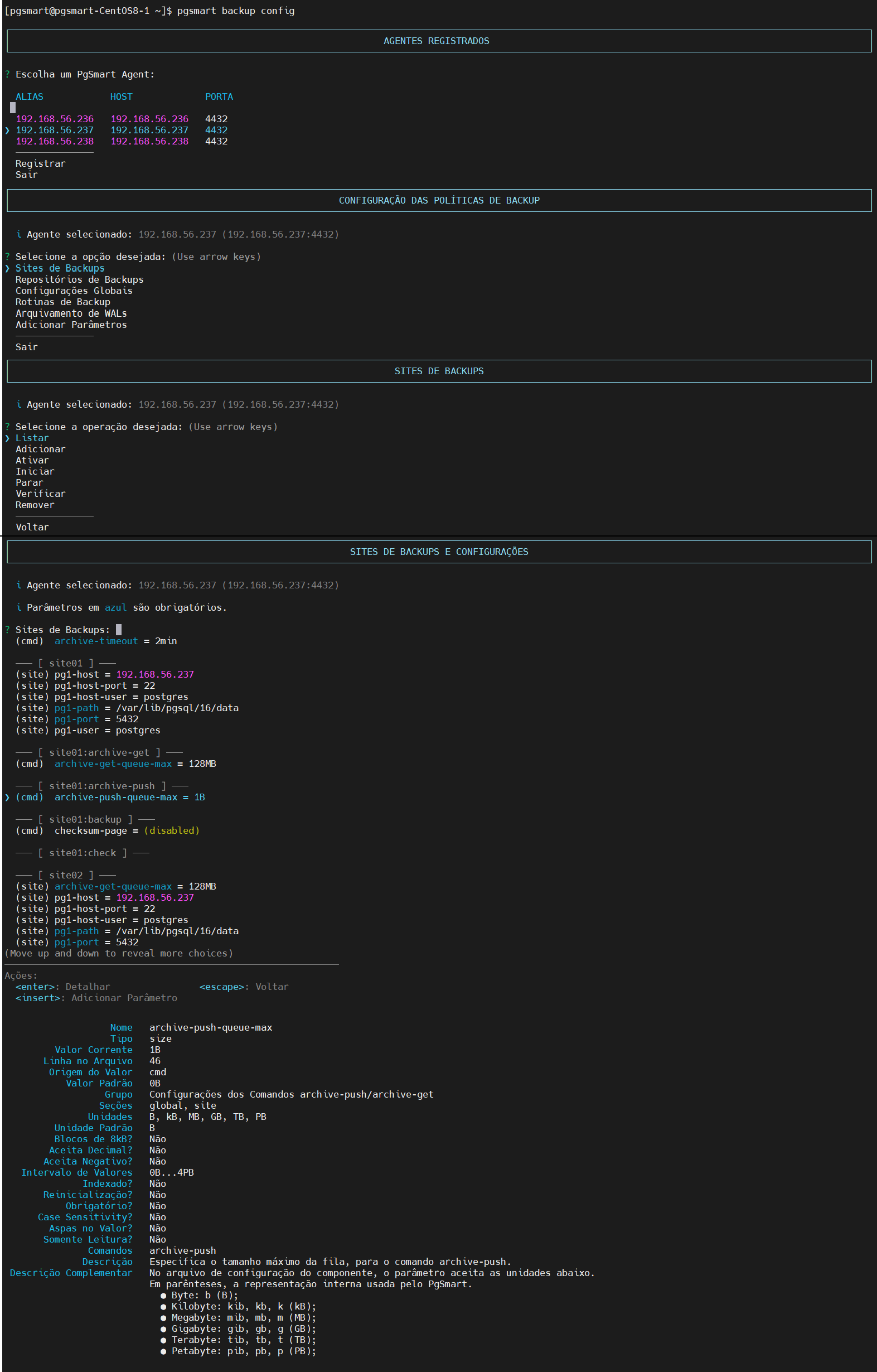 Figure 1 - Backup Site Parameters Configuration - Query