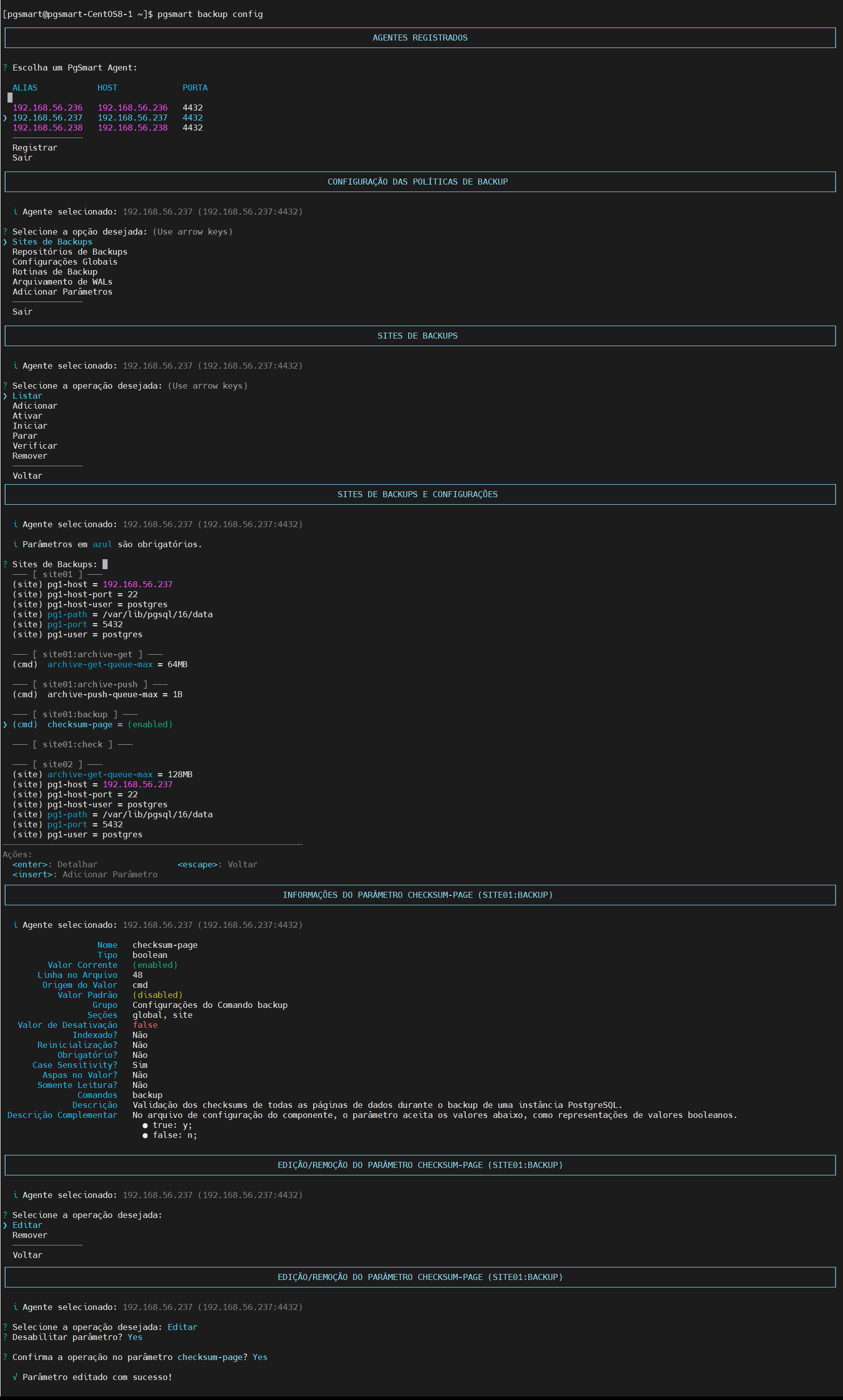 Figure 5 - Backup Site Parameters Configuration - Edit