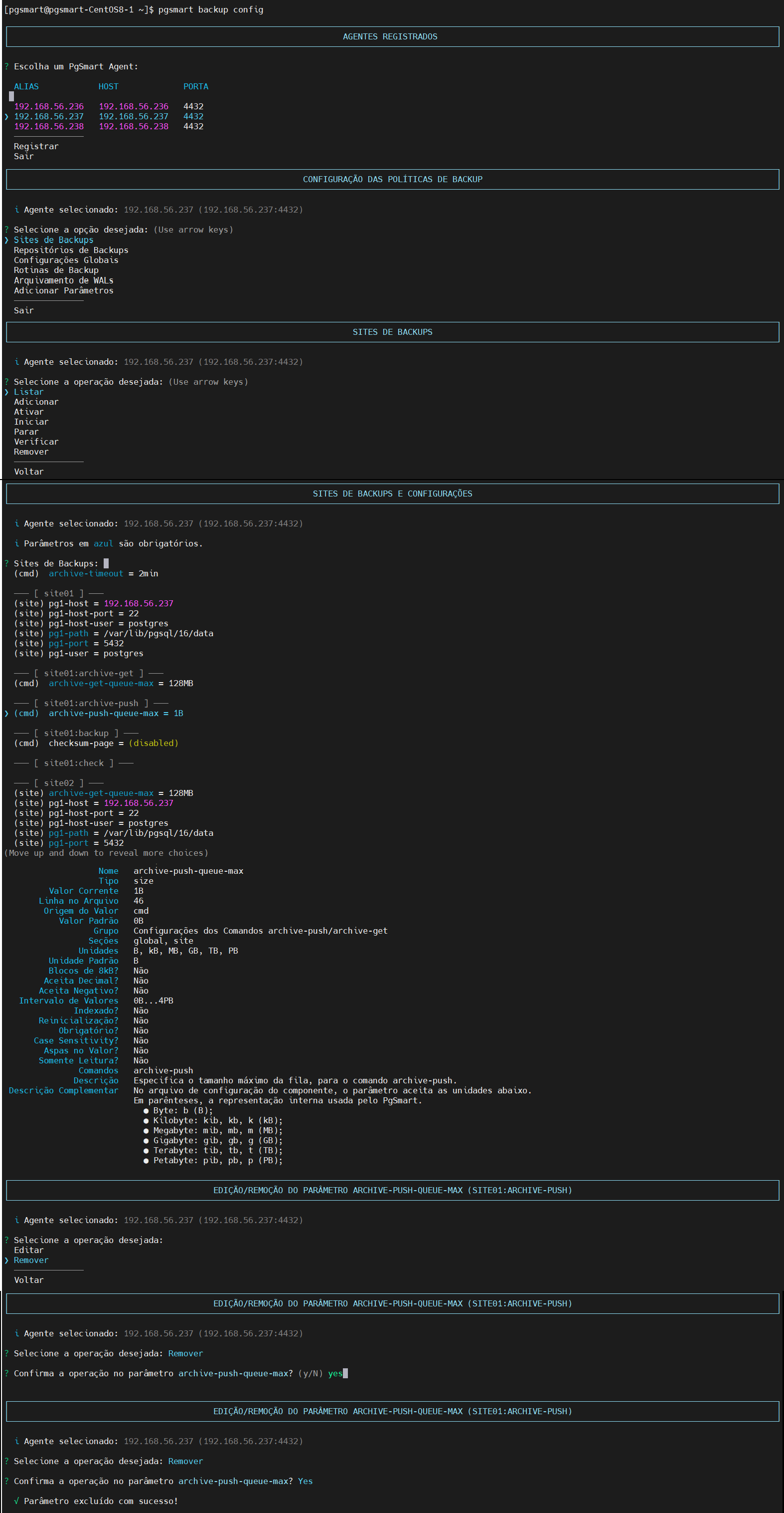 Figure 6 - Backup Site Parameters Configuration - Query