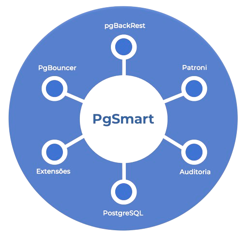 figure 1 - PgSmart consolidates multiple features.