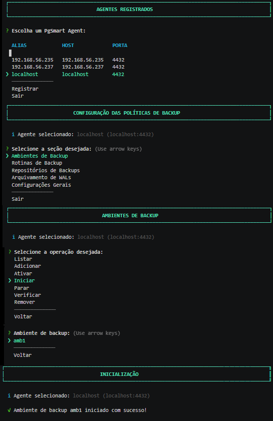 Figure 4 - Environment Configuration - Start