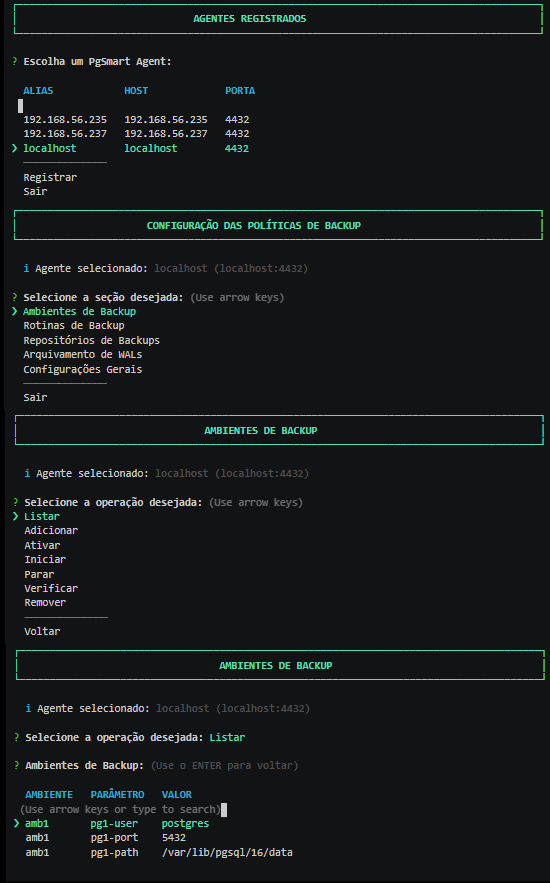 Figure 1 - Environment Configuration - List