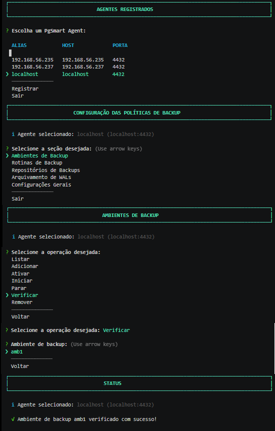 Figure 6 - Environment Configuration - Verification