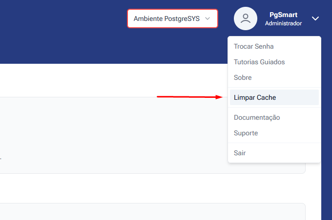 Figure 1 - Clear Cache - Global Revalidation