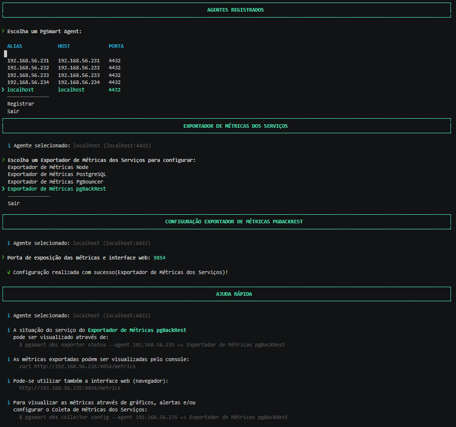 Figure 1 - pgBackRest Metrics Exporter Configuration