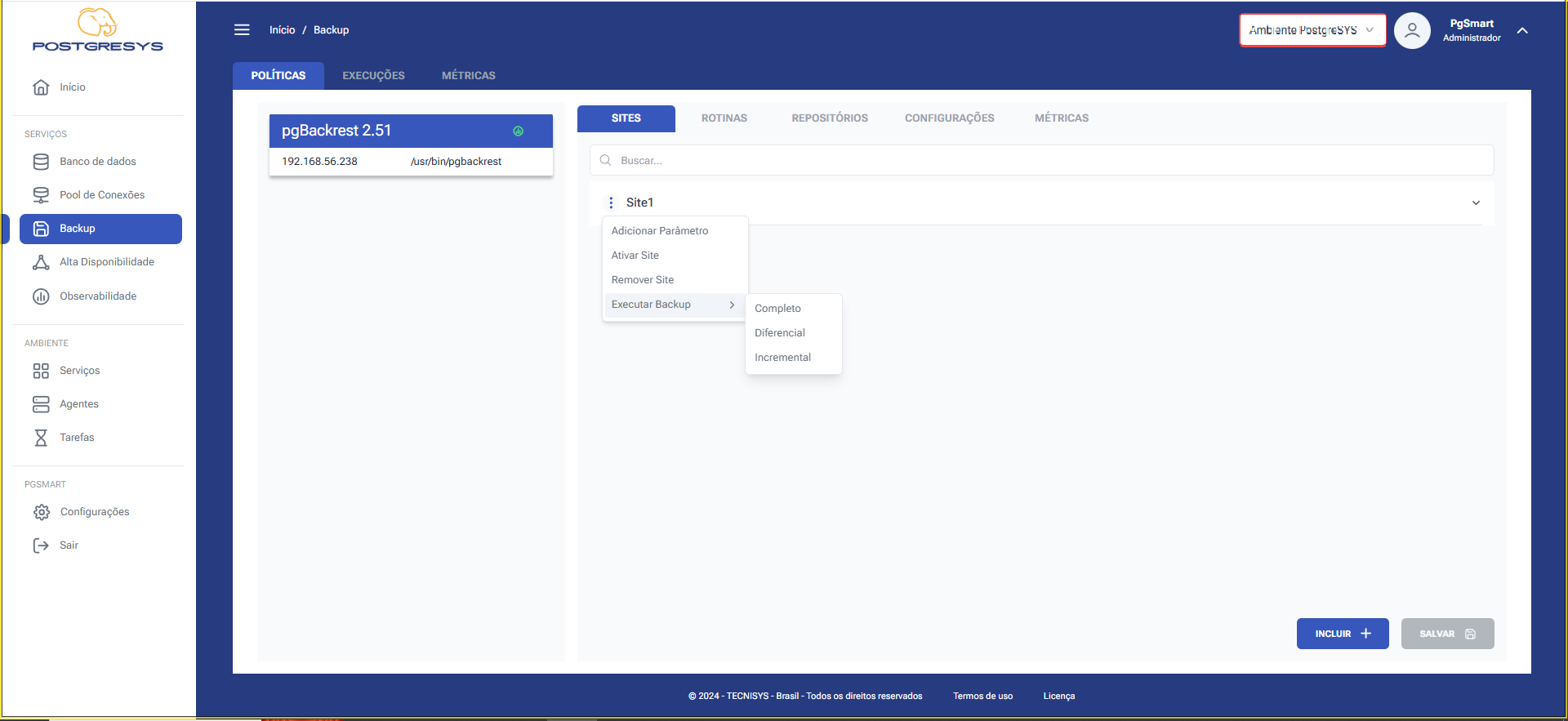 Figure 1 - Backup Execution
