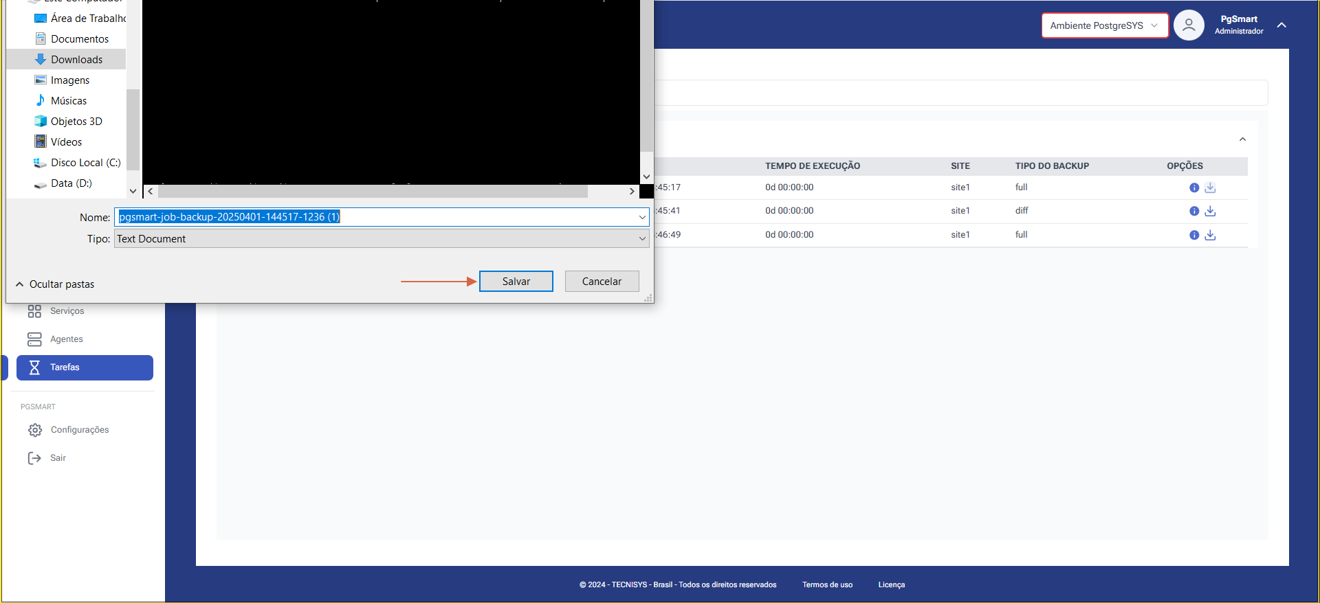 Figure 3 - Backup Information - Download