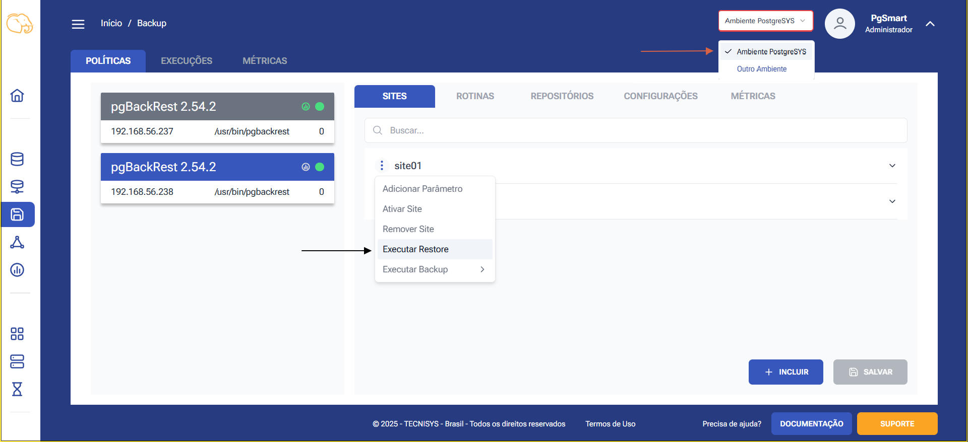 Figure 1 - Backup Restoration - Option Selection