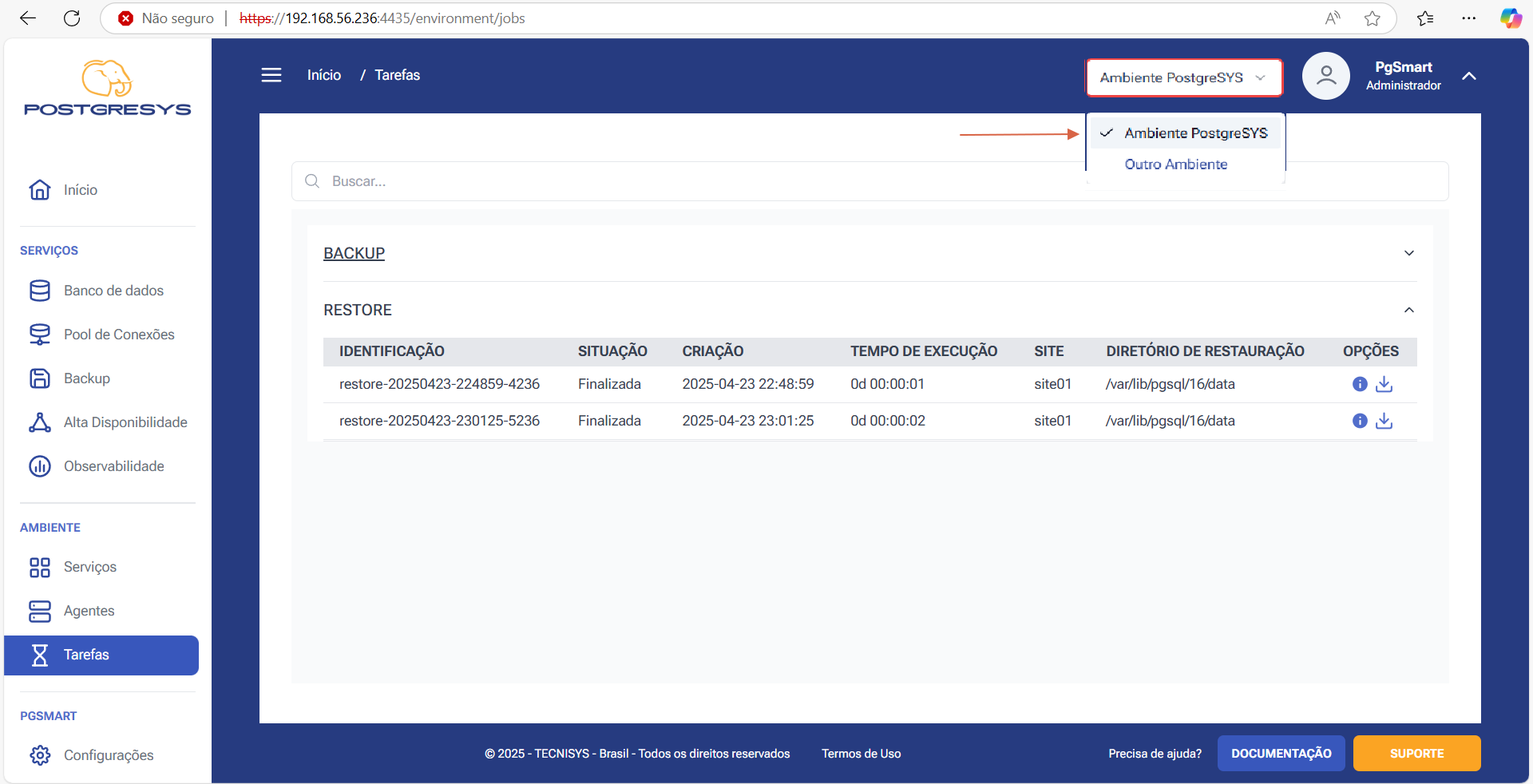 Figure 5 - Backup Restore - Viewing