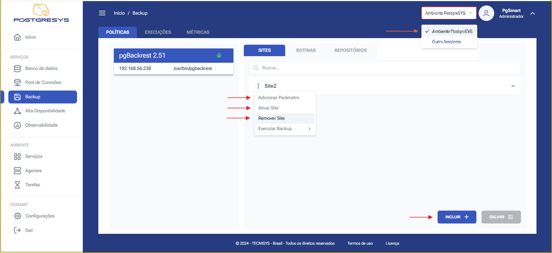 Figure 1 - Backup Site Configuration - Selecting the Option