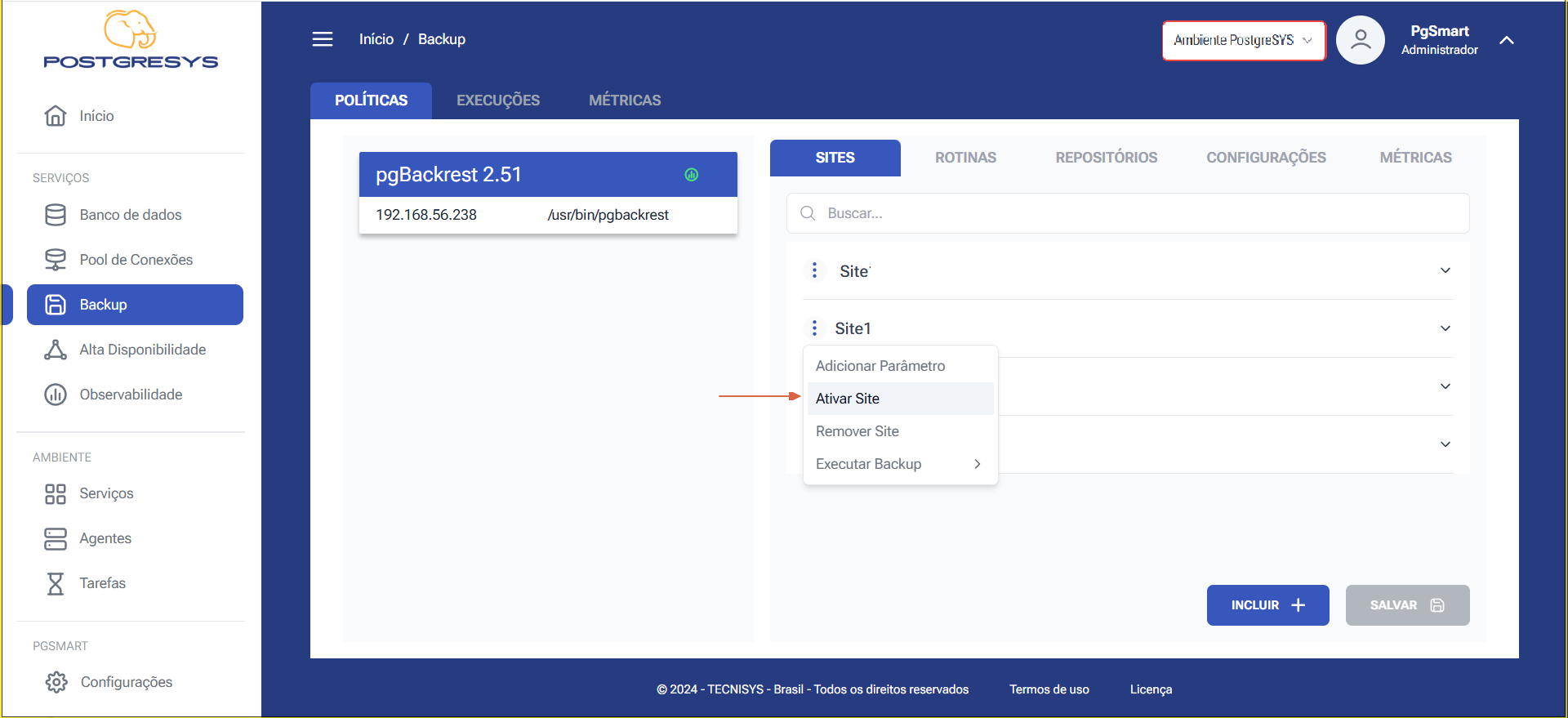Figure 3 - Backup Site Configuration - Activate Site - Selecting the Option