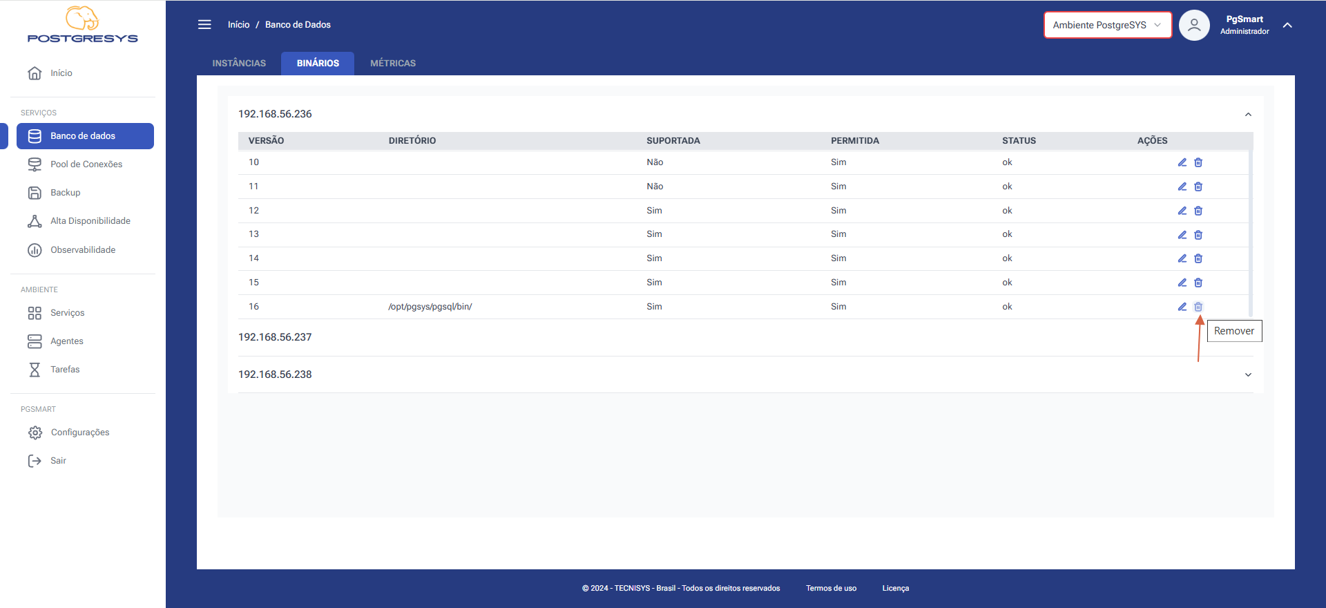 Figure 4 - Remove Binary Directory