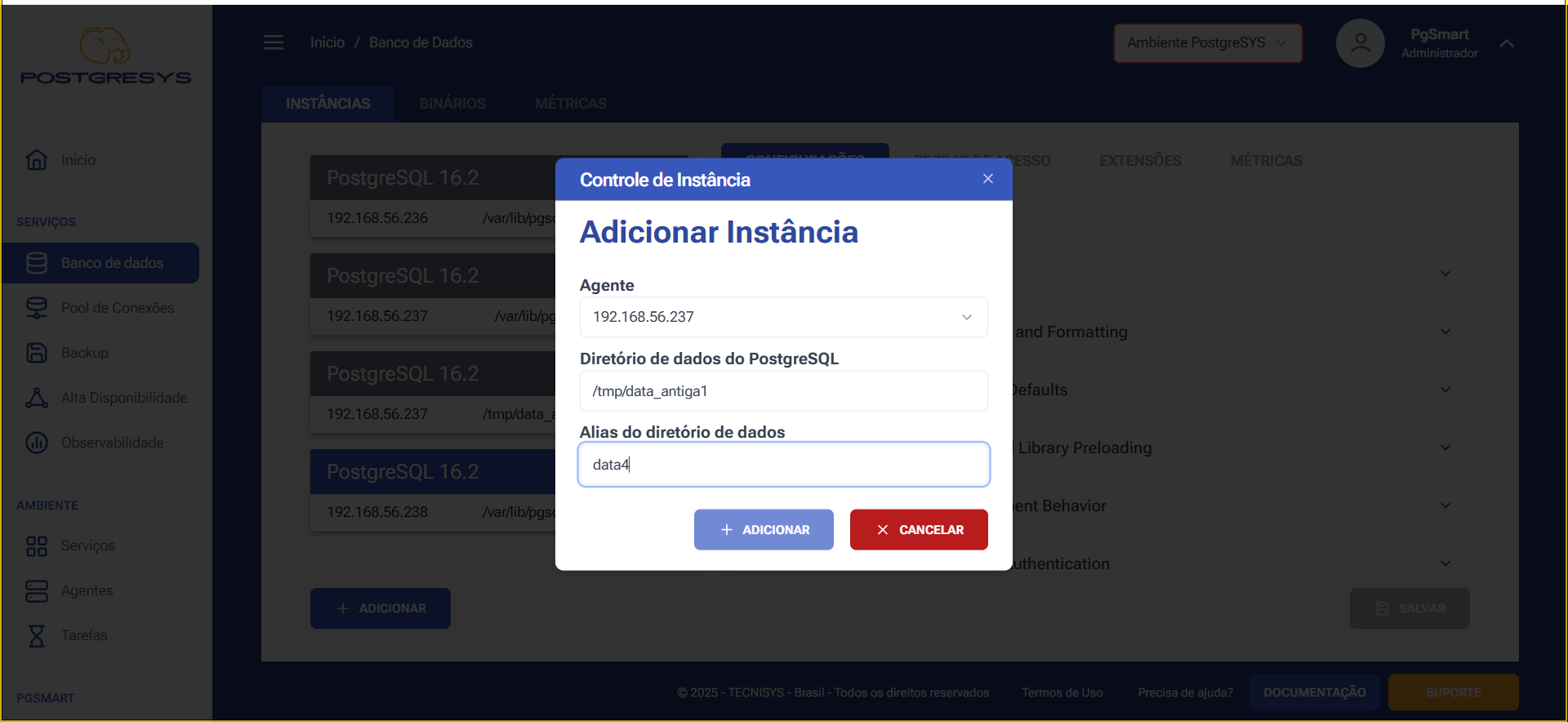 Figure 4 - New instance data directory
