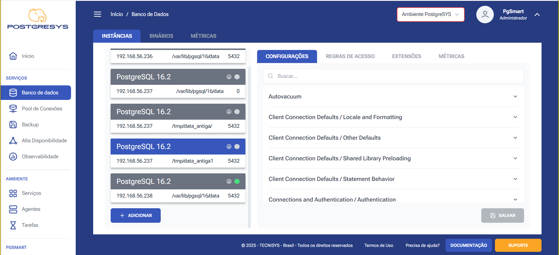 Figure 5 - New instance data directory