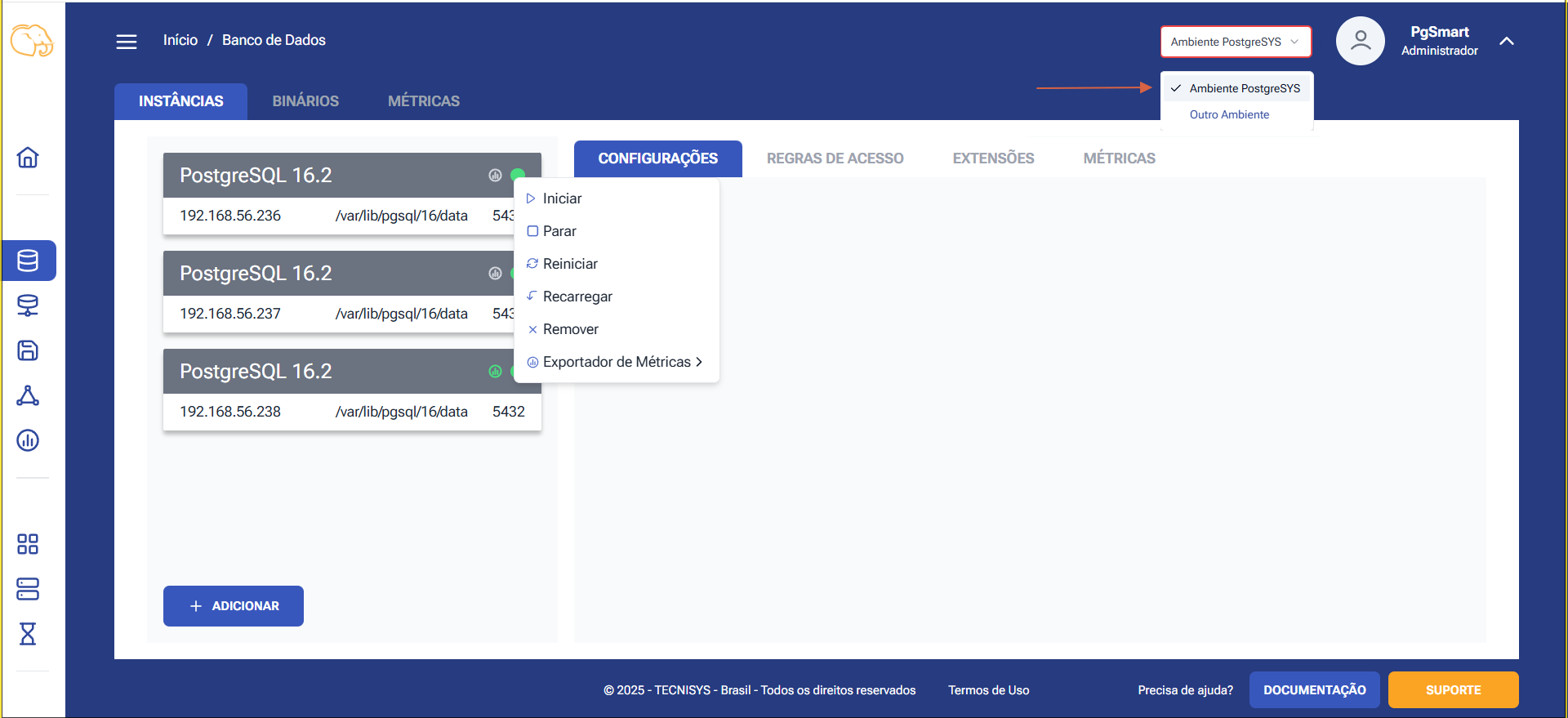 Figure 1 - Instance Service Control - Option Selection