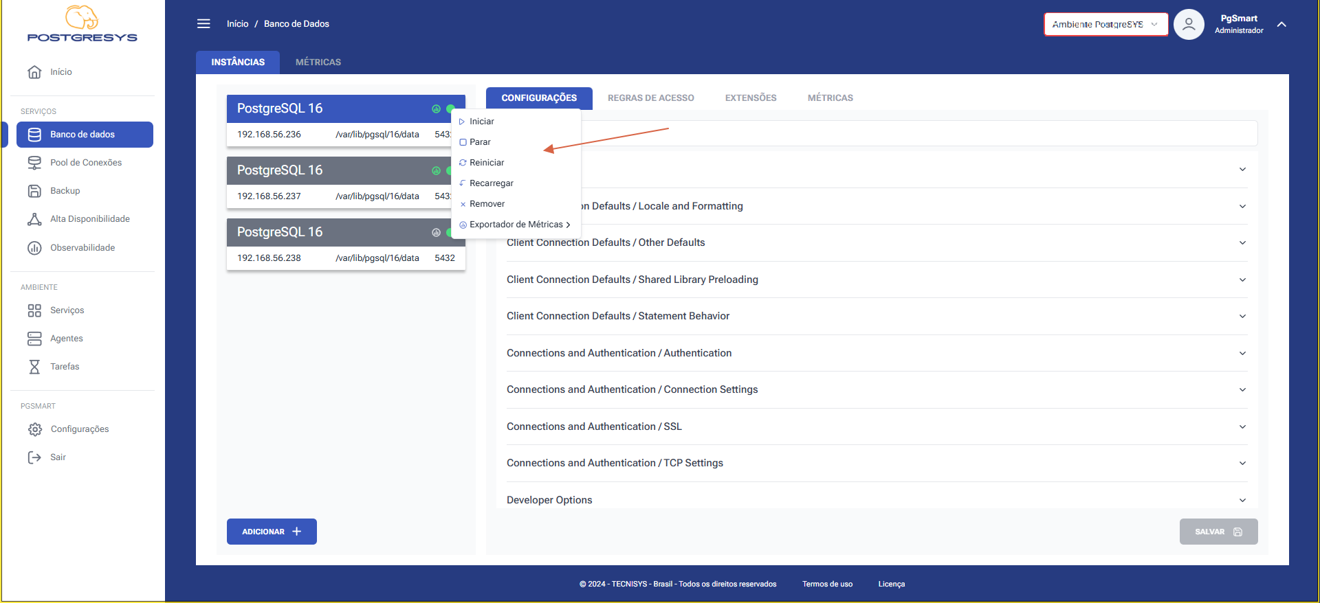 Figure 2 - Instance Service Control - Control Selection