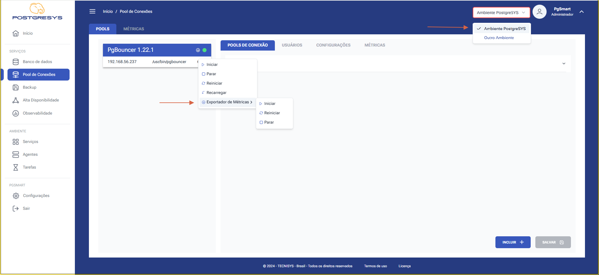 Figure 1 - Control of the PgBouncer Metrics Exporter Service
